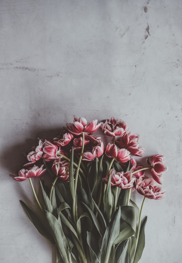 Pretty stems