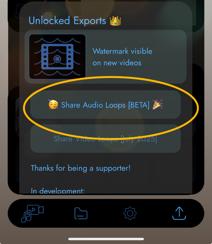 Share Tab showing the Share Audio Loops button