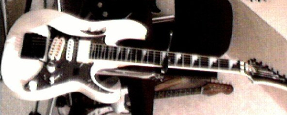 Home made Ibanez Jem copy with some modifications.