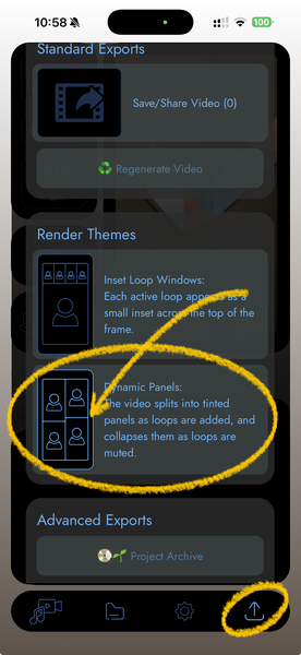 Set the app to use Dynamic Panels video looping theme via the Send tab